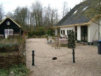 Tuin