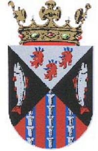Gemeente Neerijnen